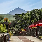 Aldeia Adegas São Roque do Pico