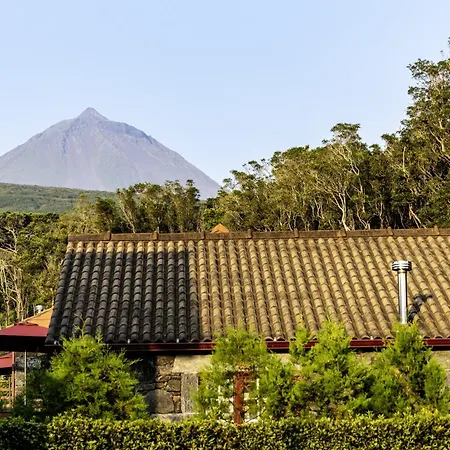 Курортный комплекс Aldeia Adegas 4*