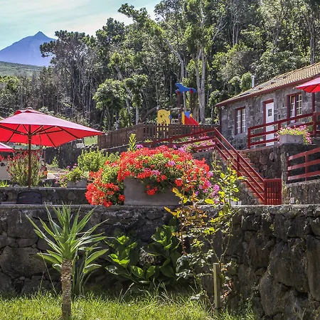 Aldeia Adegas 4* São Roque do Pico