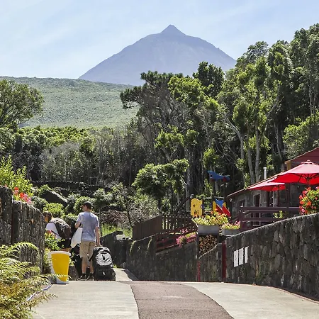 Aldeia Adegas 4* Сан-Роки-ду-Пику