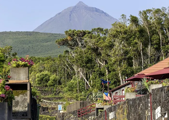 Aldeia Das Adegas 4*